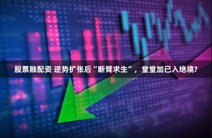 股票融配资 逆势扩张后“断臂求生”，堂堂加已入绝境?