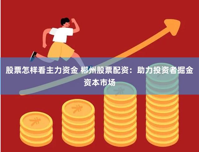 股票怎样看主力资金 郴州股票配资:助力投资者掘金资本市场