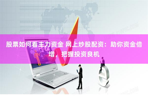 股票如何看主力资金 网上炒股配资：助你资金倍增，把握投资良机
