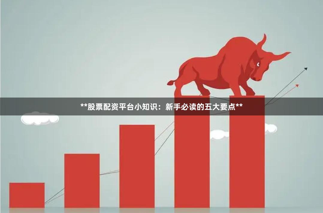 **股票配资平台小知识：新手必读的五大要点**