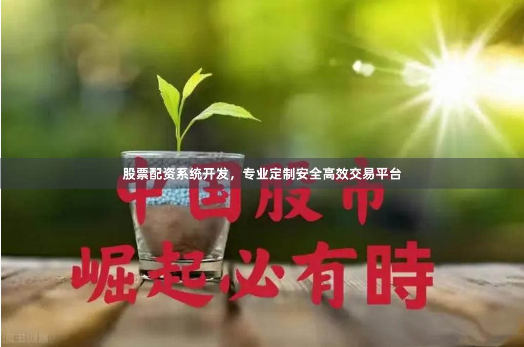 股票配资系统开发，专业定制安全高效交易平台