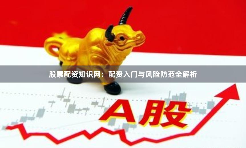 股票配资知识网：配资入门与风险防范全解析