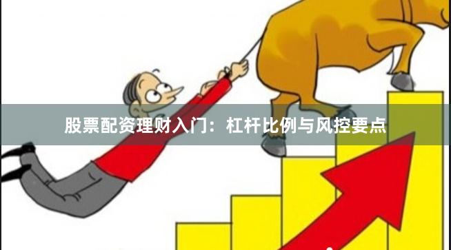 股票配资理财入门：杠杆比例与风控要点