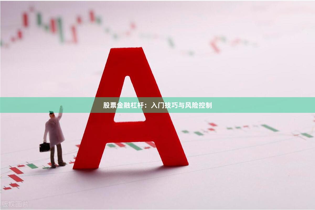 股票金融杠杆：入门技巧与风险控制